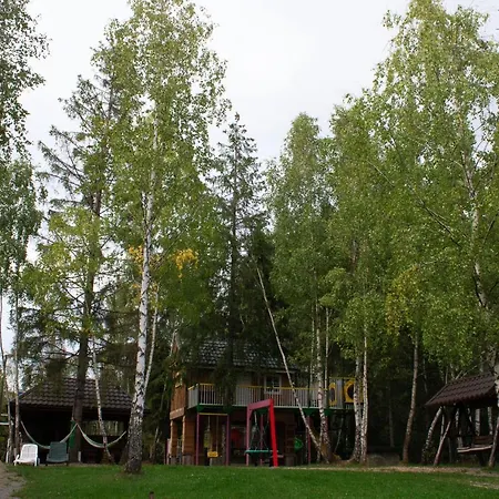 Din Padurea Belis Si Casuta Din Copac Holiday home