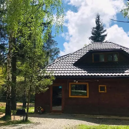Din Padurea Belis Si Casuta Din Copac Holiday home