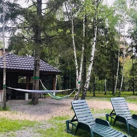 Din Padurea Belis Si Casuta Din Copac Holiday home