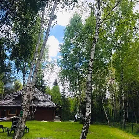 Din Padurea Belis Si Casuta Din Copac Holiday home *