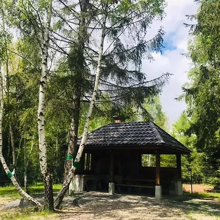 Din Padurea Belis Si Casuta Din Copac Holiday home