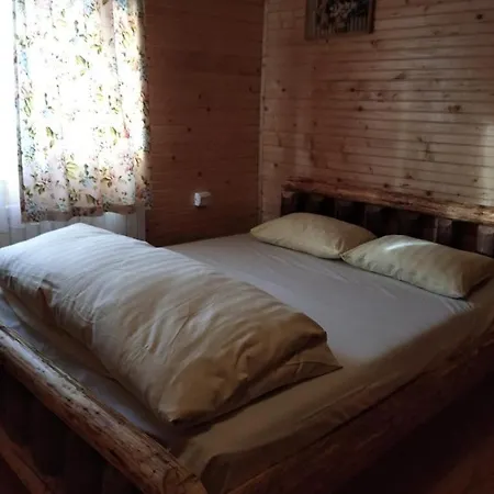 Din Padurea Belis Si Casuta Din Copac *