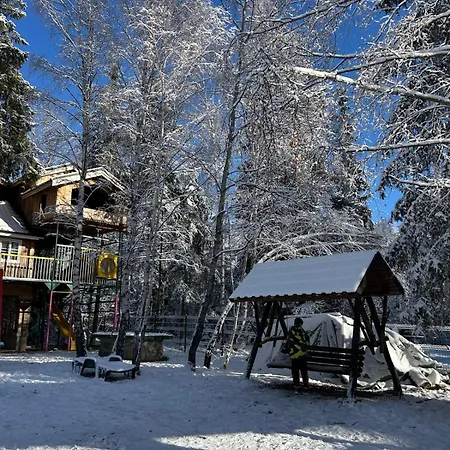 Din Padurea Belis Si Casuta Din Copac Holiday home