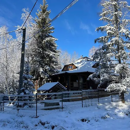 Din Padurea Belis Si Casuta Din Copac Holiday home