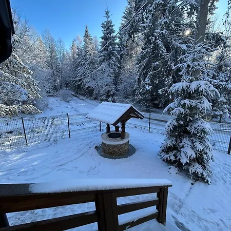 Din Padurea Belis Si Casuta Din Copac Holiday home Cluj-Napoca
