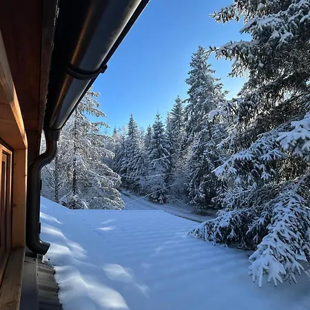 Holiday home Din Padurea Belis Si Casuta Din Copac Cluj-Napoca